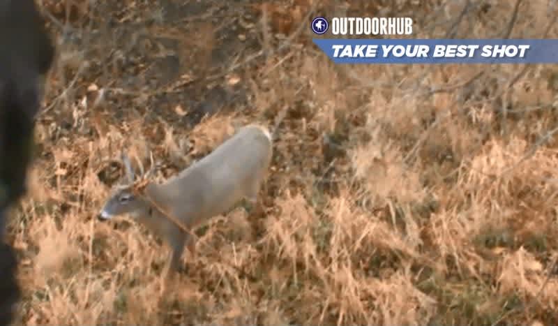 Take Your Best Shot: Rutting Whitetail With Archery Tackle