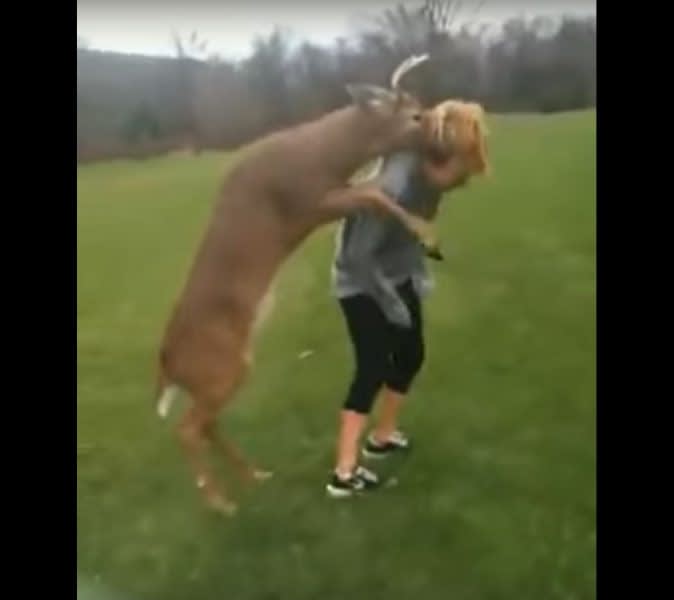 Video: No Females are Safe from this Bird-Dogging Buck