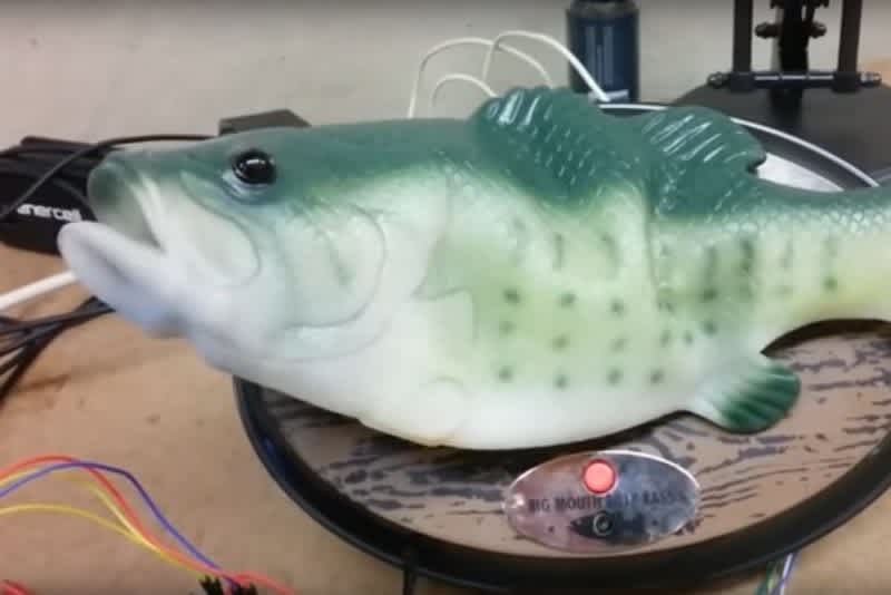 Video: Forget Flying Cars, These Talking ‘Weather Fish’ are the Future