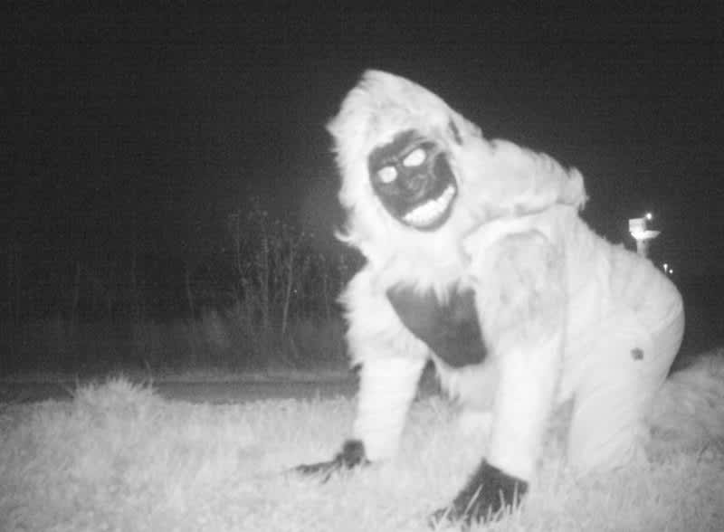 Police Capture Weird Trail Cam Pics during Mountain Lion Search