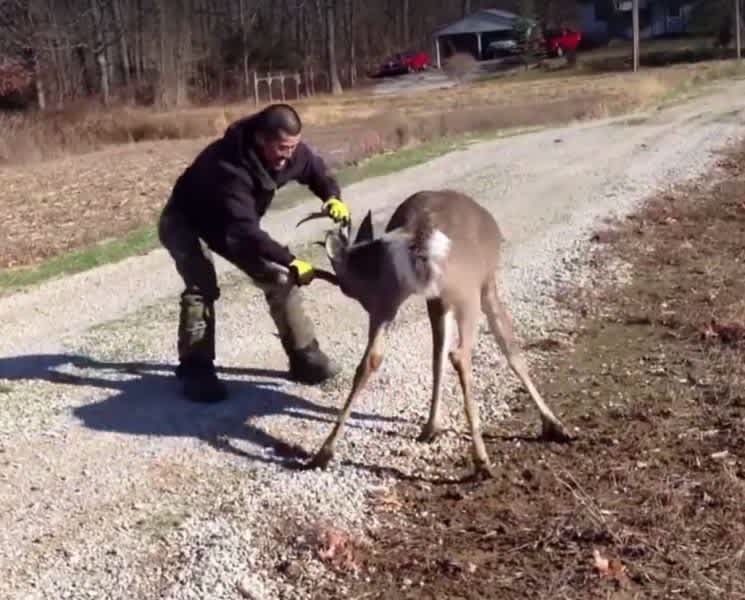 Video: Man vs. 11-Point Buck, Lets See How This Goes. . .