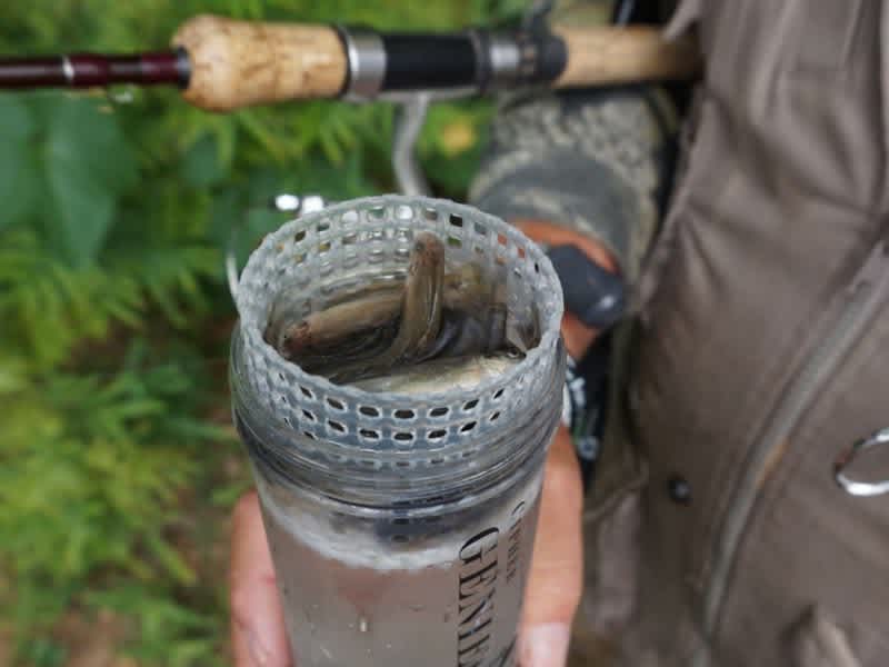 Video: Flip The Genie Jar Over and See Why It’s a Must-Have for Ice Fishing