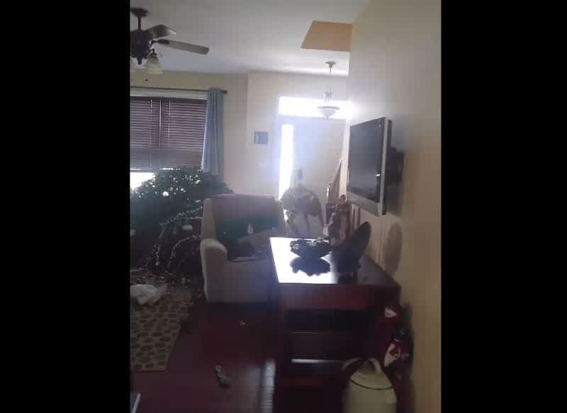 Video: High School Student Shoots First Deer. . . in His Living Room?