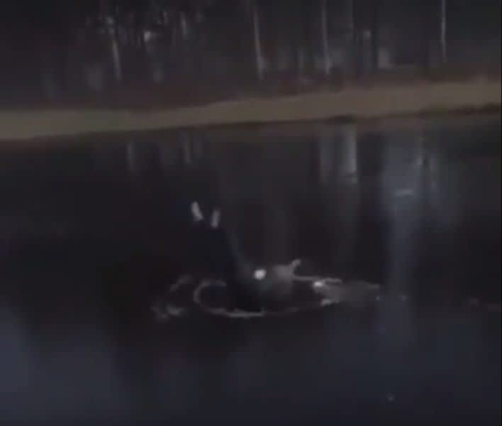 Must-See Video: Man Slips and Falls Through the Ice