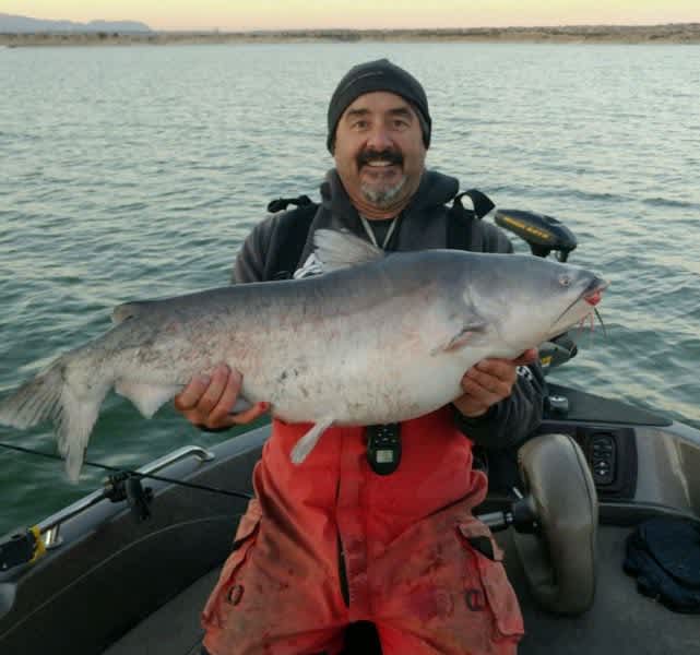 Man Catches New State Record Blue Catfish