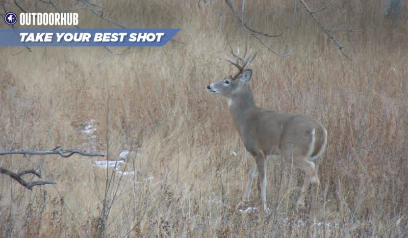 Tuesday’s Take Your Best Shot: Muzzleloader Whitetail
