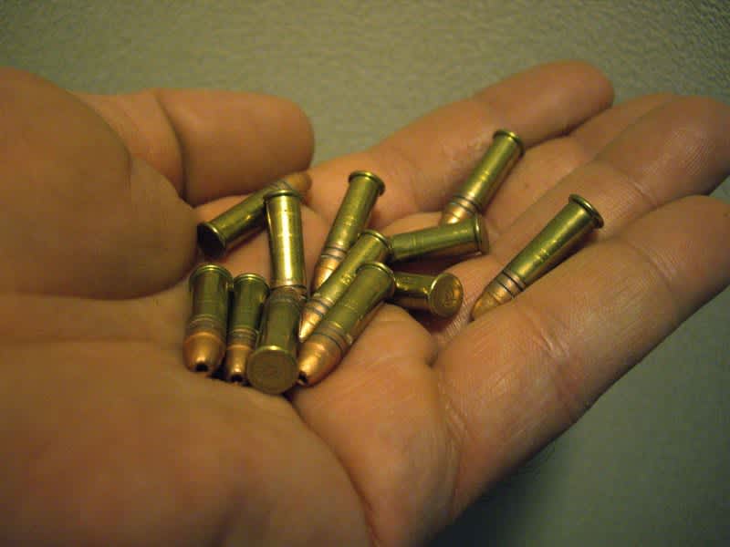 Could a Price War on .22 Ammo Drive Down Prices?