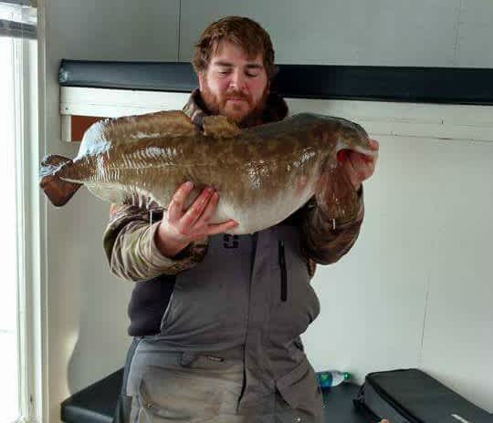 New Minnesota State Record Eelpout?