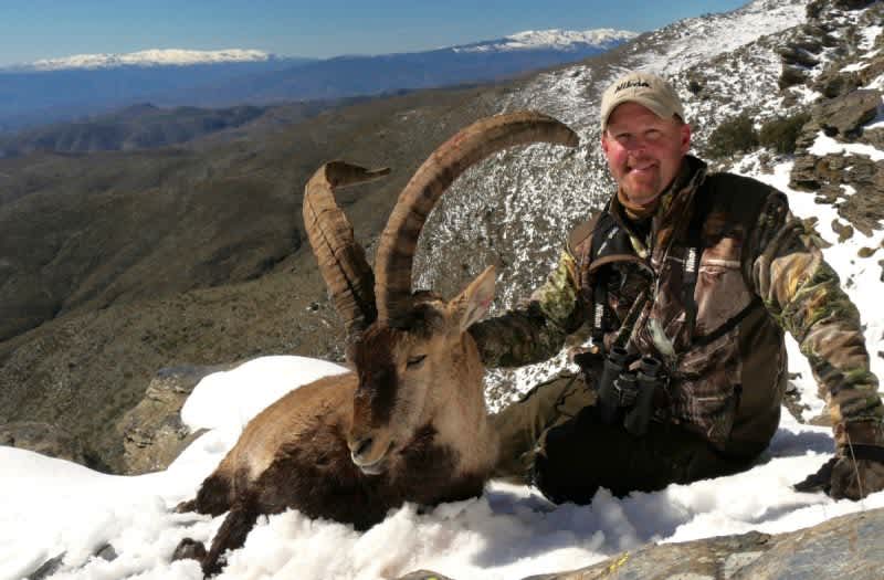 Herald Hunts the World: Spanish Ibex
