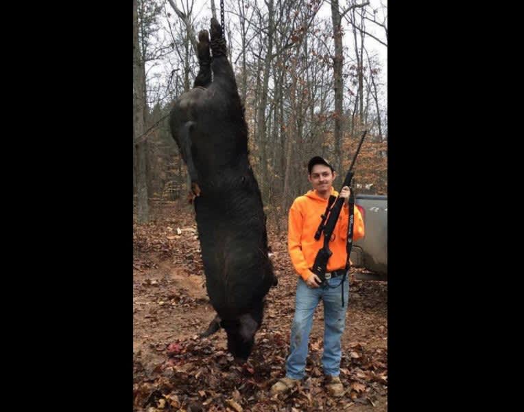 Teenager Shoots and Kills Charging 545-Pound Feral Hog