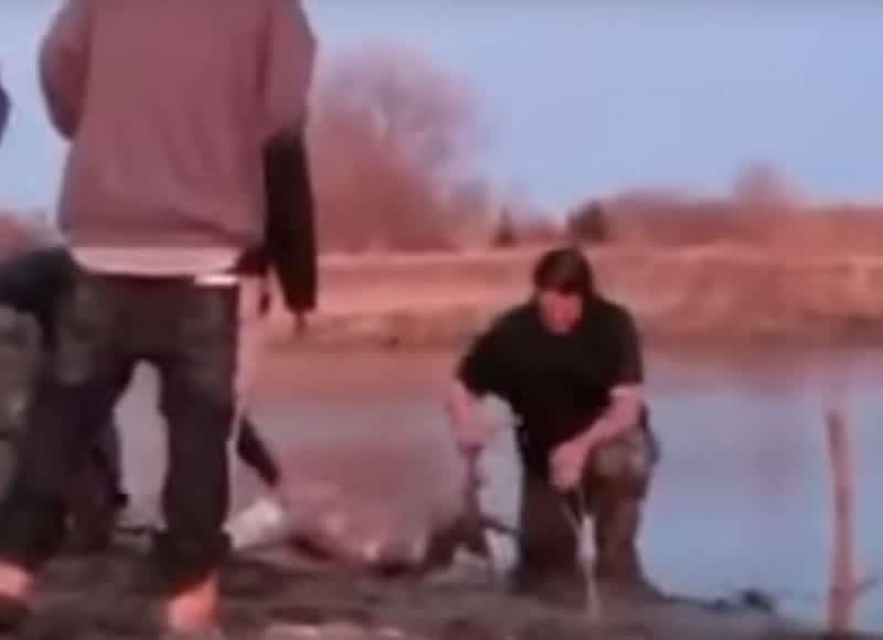 WARNING GRAPHIC VIDEO: Help Wanted in Hunting Down These Disgusting Poachers