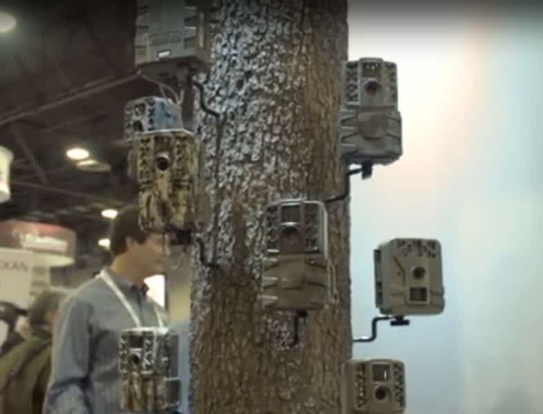 Moultrie Game Cameras are Ideal for Gathering Accurate Field Intelligence
