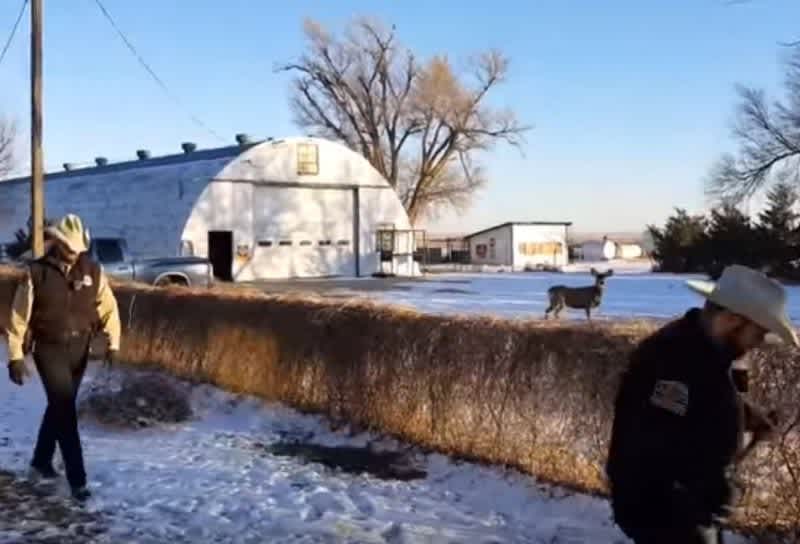 Video: Game Wardens Shoot “Pet” Deer in Front of Crying Family