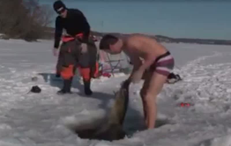 Video: Ice Fisherman Gets Two Huge Surprises