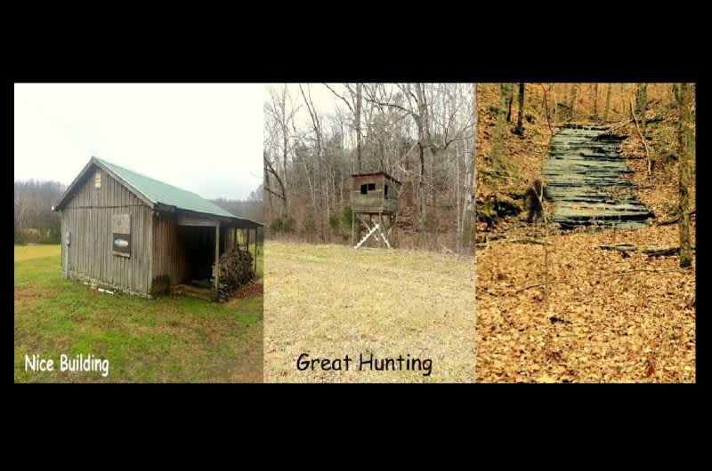 Was Bigfoot Spotted in These Real Estate Listing Photos?
