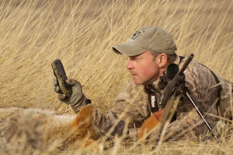 Kayser on Coyotes: Stay Longer to Shoot More Song Dogs