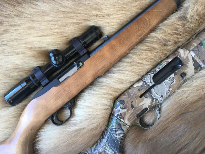 PA Game Commission Unanimously Approves Semi-Automatic Firearms for Hunting