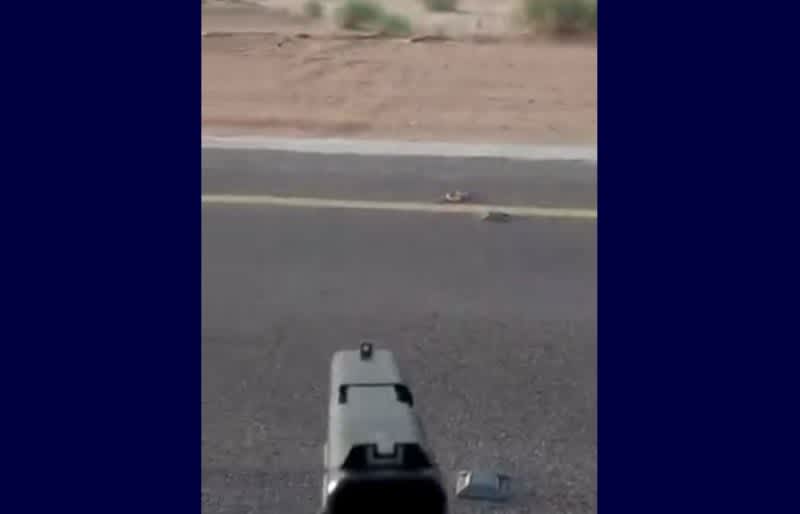 That’s What Happens When You Bring a Gun to a Snake Fight