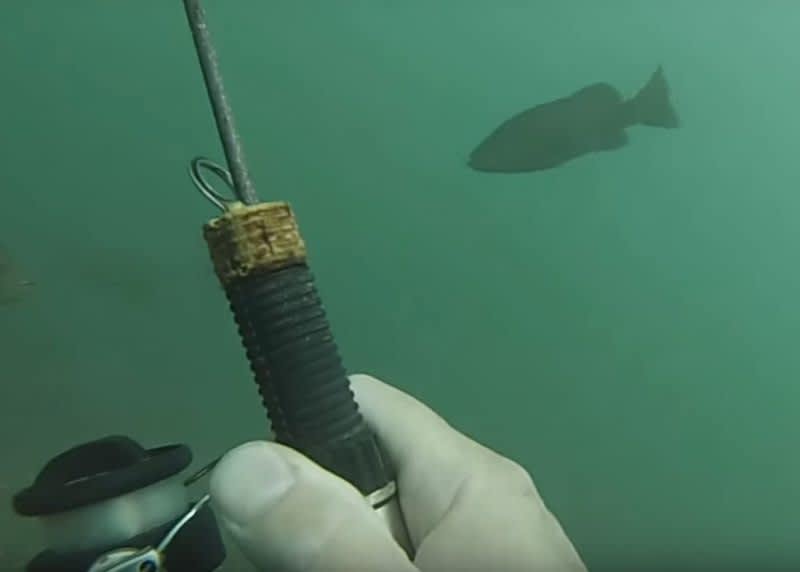 Video: Underwater Bass Fishing is On Another Level