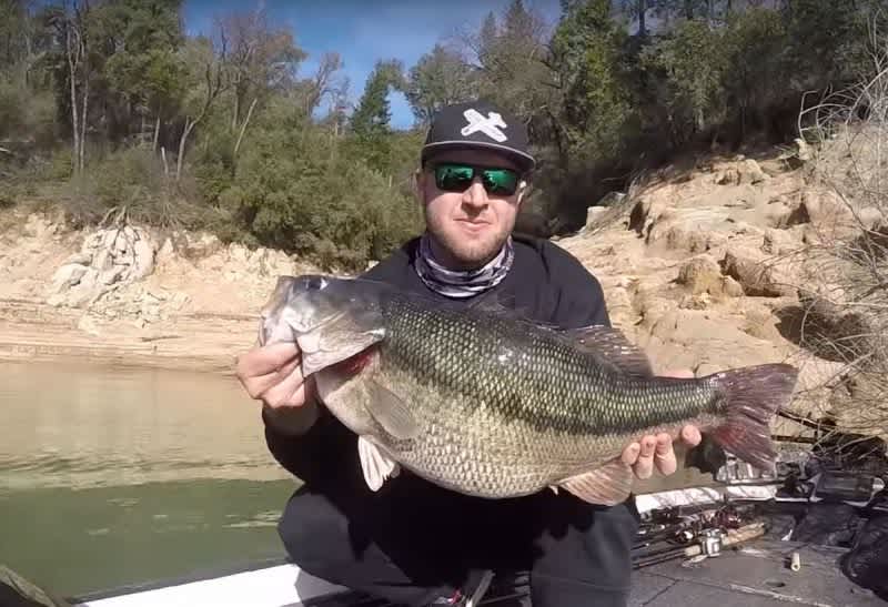 No Photoshop Used Here: Potential World Record Spotted Bass is a Beast!