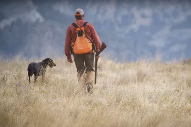 Video: This Upland Hunting Love Story by Orvis is Pure Gold