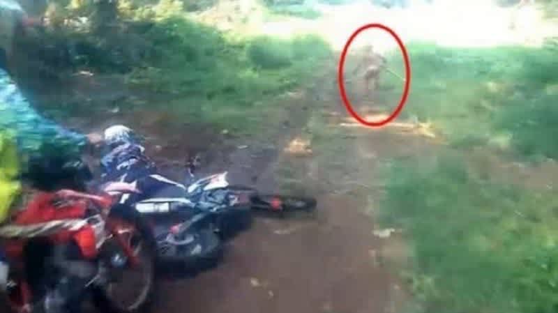 Video: Dirt Bikers In Indonesia Captured a Bizarre Creature on Helmet Cam