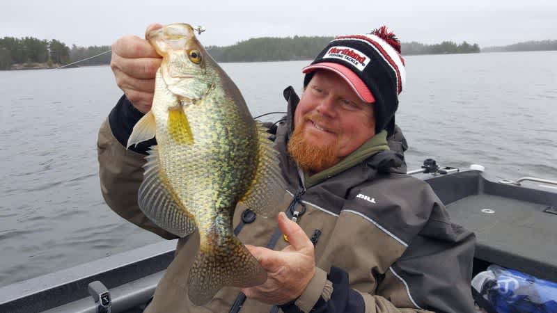 Northland Thumper Crappie King
