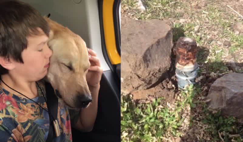 Video: USDA Halts Use of ‘Cyanide Bombs’ After 14-Year-Old Gets Sprayed and His Dog Dies