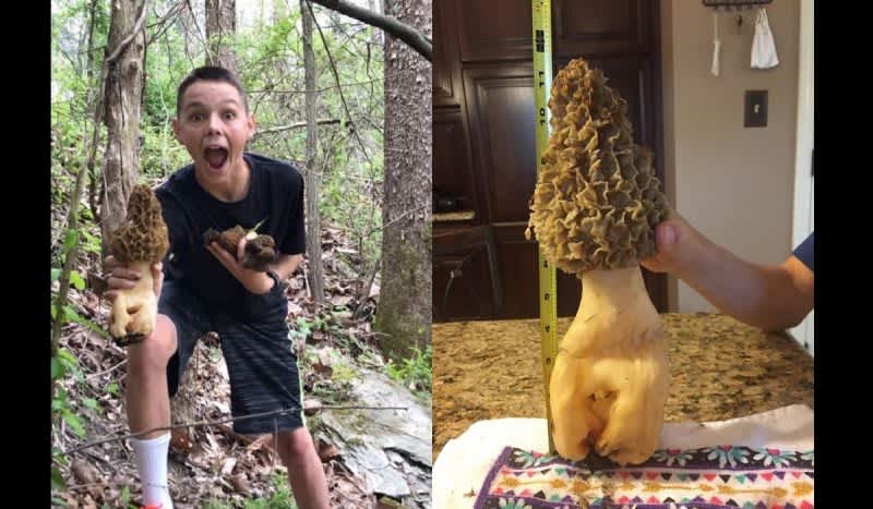 Teenager Finds Morel Mushroom Trophy for the Record Books