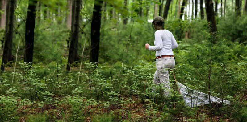Great New Way to Kill Ticks that Carry Lyme Disease