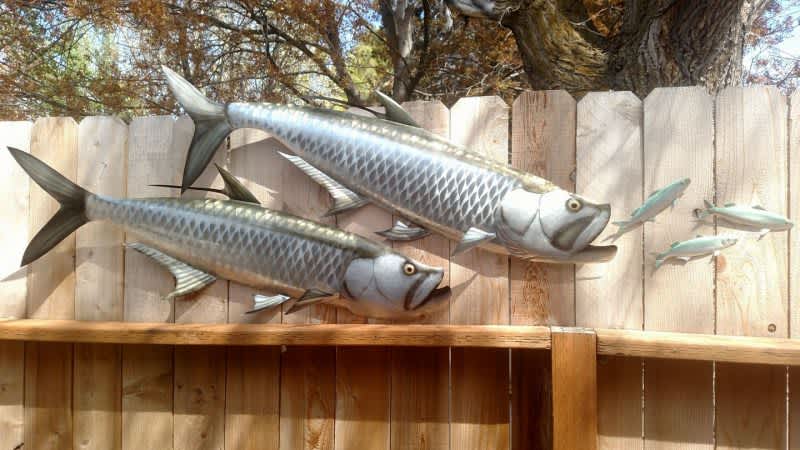 Want to Win a World Record Fish?