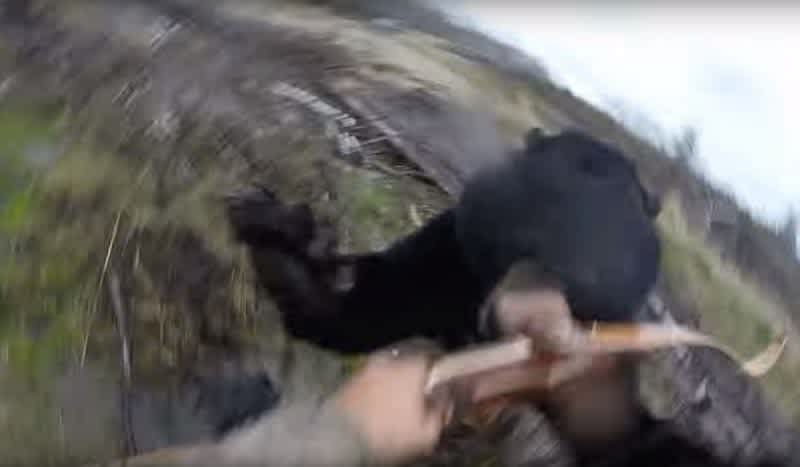 Hunter Charged & Tackled by Black Bear