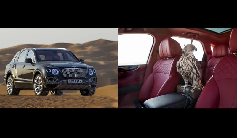 A Bentley Bentayga Tailored for the Outdoors