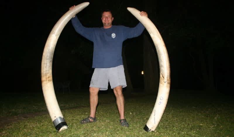 Elephant Kills Big Game Hunter Theunis Botha During an Intense Hunt