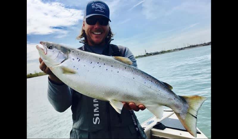 Angler Makes Rare Catch on Detroit River