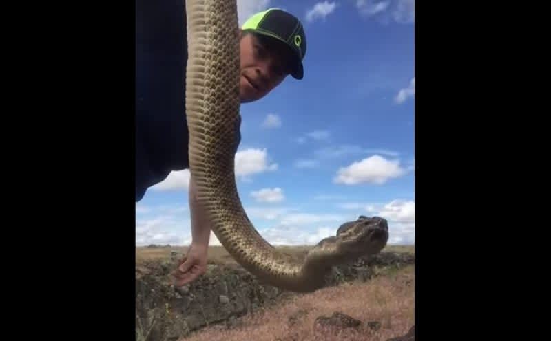 Video: Dude Demonstrates Questionable Method For Killing Rattlesnakes