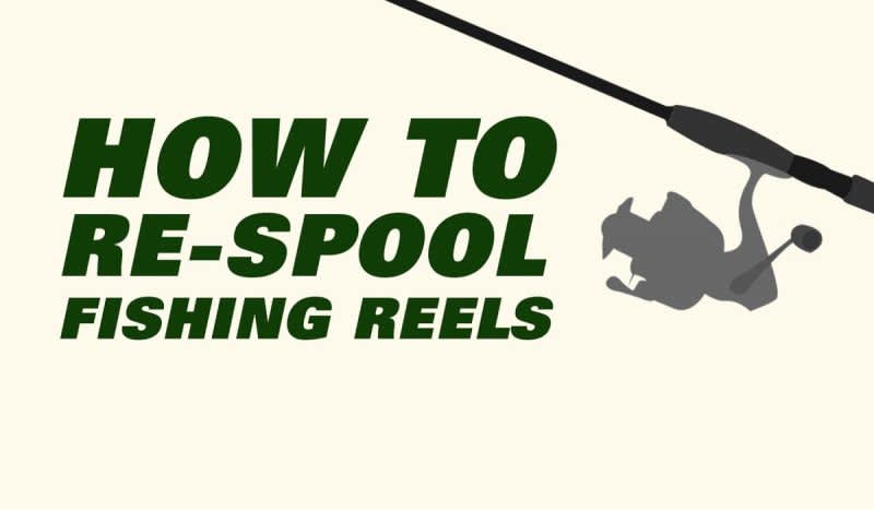 Infographic: Is It Time to Replace Your Fishing Line?