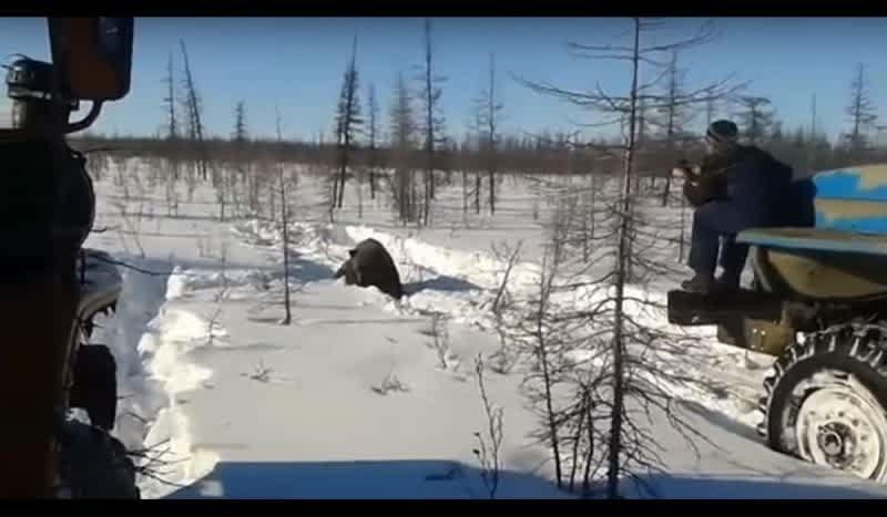 Graphic Video: Russian Truckers Maliciously Run Over Brown Bear