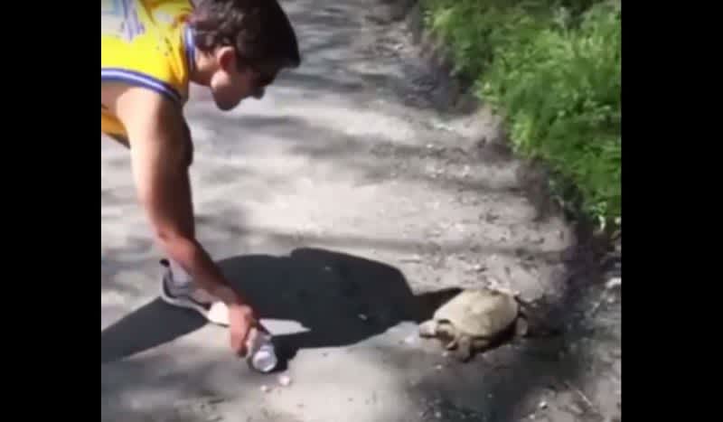 Video: Frat Bro Seeks Help From Snapping Turtle In Opening His Beer Can