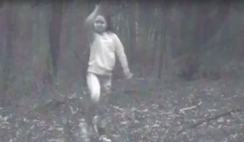 Creepy Trail Cam Photo Has People Talking Ghosts in the Woods