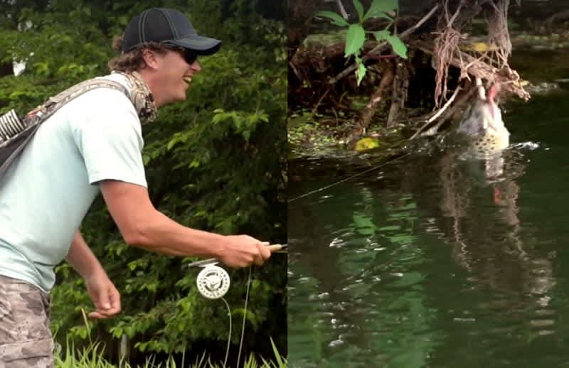 Video: Fish Helps Free Lure That’s Snagged in a Tree