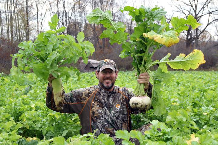 Video: Want Food Plots Like This During Fall? Then Take a Soil Sample NOW!