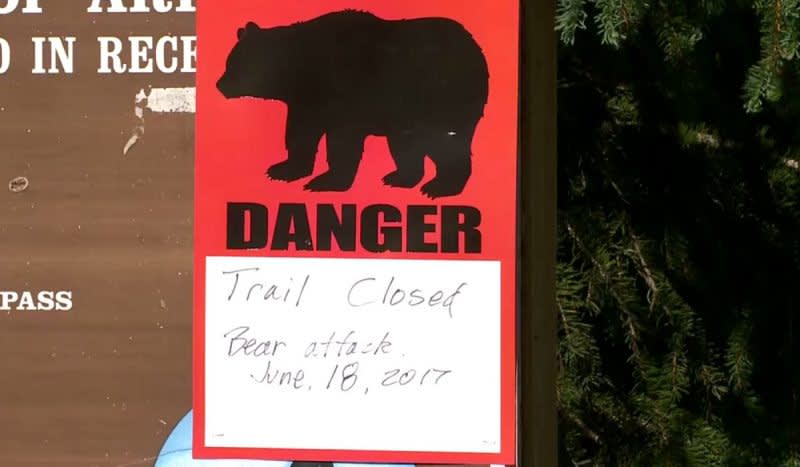 Video: Black Bear Kills Teenager Running in Father’s Day Trail Race