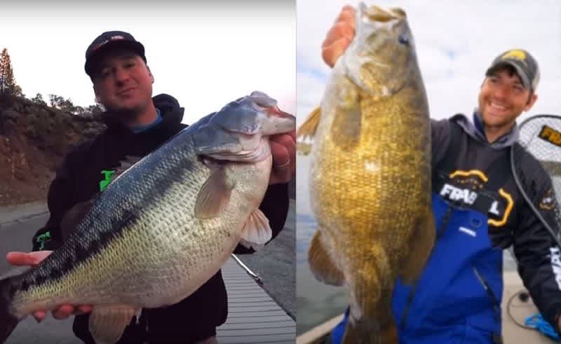 Video: 3 of the Largest Bass Ever Caught on Film