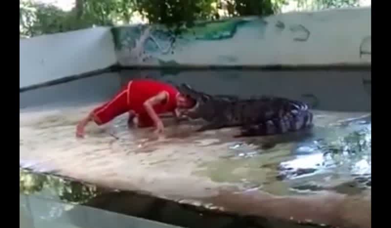 Nasty Video: Why You Shouldn’t Play Games with Crocodiles