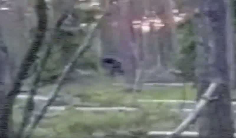 Video: Texas Teenagers Film Hairy Figure Running Upright Through the Woods