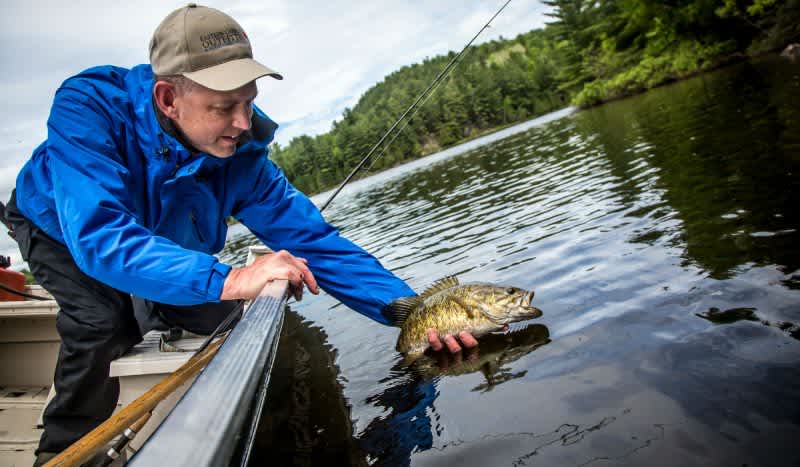 Quebec: My Favorite Destination for Spring Bass — and Bears