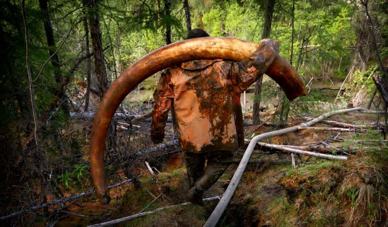 Photos: Extreme Mammoth Tusk Hunting in the Siberian Wilderness