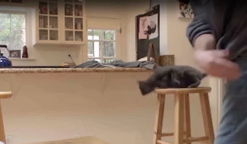 PETA Stoops To All-Time New Low in Manipulative Fake Animal Abuse Video