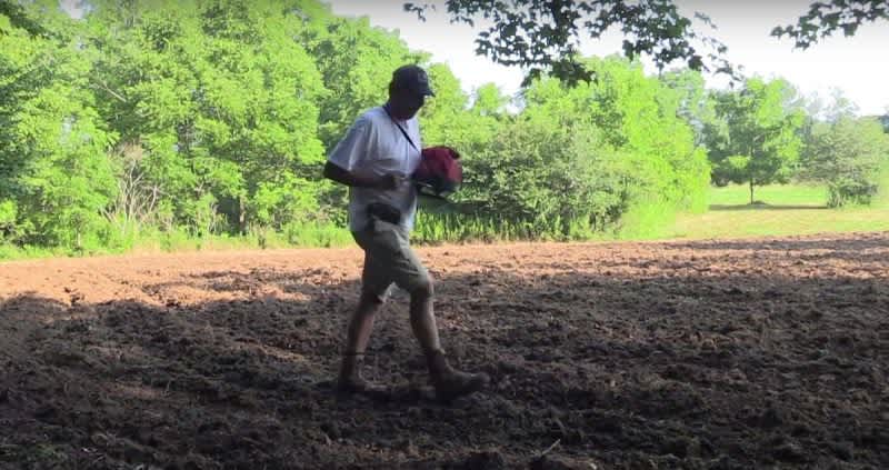 Video: Why ‘Beets & Greens’ Should Be On Your Food Plot Radar